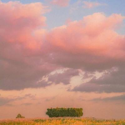 火狐电竞下载手机版